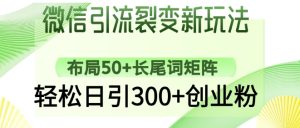 微信引流裂变新玩法：布局50+长尾词矩阵，轻松日引300+创业粉-一号资源库
