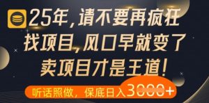 什么？25年你还在疯狂找项目做，醒醒吧，看完这些你全都懂了【揭秘】-一号资源库