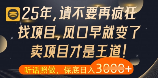 什么？25年你还在疯狂找项目做，醒醒吧，看完这些你全都懂了【揭秘】-一号资源库