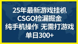 25年CSGO游戏搬砖，全自动挂G，不需要玩游戏，手机操作日入3张+【揭秘】-一号资源库