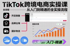 TikTok跨境电商实操课，从入门到精通的全实操流程-一号资源库