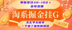 淘系掘金挂G项目，单账号日收益30~100+，多号多得，一个做了就有的项目【揭秘】-一号资源库