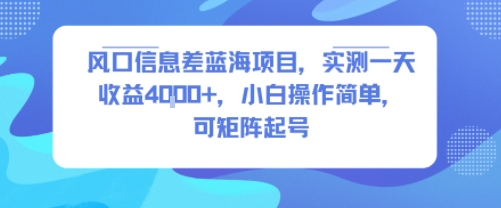 风口信息差蓝海项目，实测一天收益4k+，小白操作简单，可矩阵起号-一号资源库