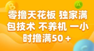 零撸天花板，独家满包技术 不养机 一小时撸满50+【揭秘】-一号资源库
