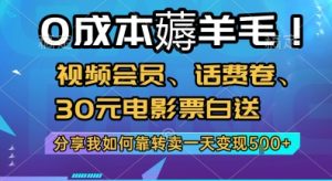 0成本薅羊毛!视频会员、话费卷、30元电影票白送，分享我如何靠转卖一天变现5张+【揭秘】-一号资源库
