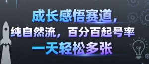 成长感悟赛道，纯自然流，百分百起号率 一天轻松多张-一号资源库