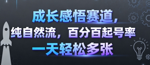 成长感悟赛道，纯自然流，百分百起号率 一天轻松多张-一号资源库