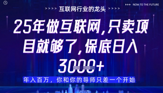 什么！25年你还在找项目做？风口早就变了，卖项目才是稳挣不赔【揭秘】-一号资源库