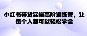 小红书带货实操高阶训练营,让每个人都可以轻松学会-一号资源库