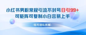 小红书男粉常规引流不封号日引99+变现简单 可矩阵可复制小白容易上手-一号资源库