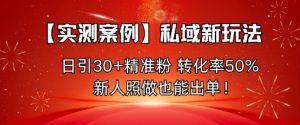 【实测案例】私域新玩法,日引30+精准粉,转化率50%,新人照做也能出单!-一号资源库