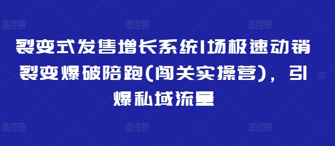 裂变式发售增长系统1场极速动销裂变爆破陪跑(闯关实操营)，引爆私域流量-一号资源库