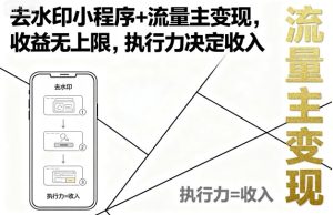 去水印小程序+流量主变现，收益无上限，执行力决定收入-一号资源库