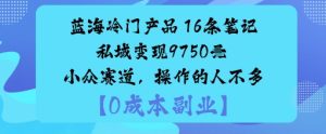 蓝海冷门产品:16条笔记私域变现9750米小众赛道,操作的人不多-一号资源库