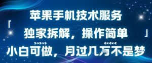 苹果手机技术服务，独家拆解，操作简单，小白可做，月过1W不是梦-一号资源库