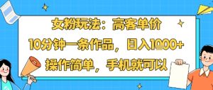女粉玩法:高客单价,10分钟一条作品,日入1k+操作简单,手机就可以-一号资源库