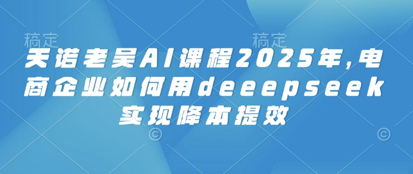 天诺老吴AI课程2025年，电商企业如何用deeepseek实现降本提效-一号资源库