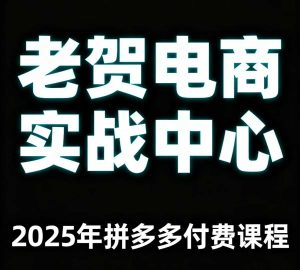 老贺电商2025年拼多多付费课程，用通俗易懂的方法告诉你多多怎么玩-一号资源库