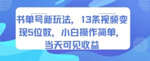 书单号新玩法，13条视频变现5位数，小白操作简单，当天可见收益-一号资源库