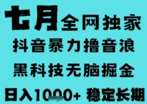 7月最新风口抖音无人直播撸音浪,长期稳定,非短期,全自动运行,低门槛无脑,日入1k+【揭秘】-一号资源库