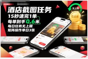 酒店截图任务，15秒速完1单，每单到手0.6米，每日任务无上限，全网首发玩法，矩阵操作单日3张【揭秘】-一号资源库