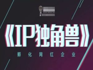 IP独角兽，孵化网红企业，ip教程-一号资源库
