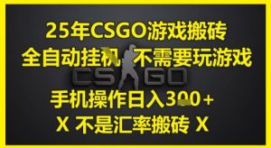 25年CSGO游戏搬砖，全自动运行，不需要玩游戏，手机操作日入3张(不是汇率搬砖)【揭秘】-一号资源库