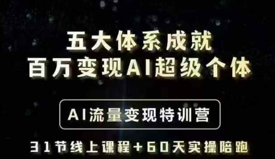 五大体系成就百万变现AI超级个体- AI流量变现特训营，一步一步教你一个人怎么年入百W-一号资源库