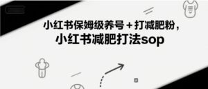 小红书保姆级养号+打减肥粉，小红书减肥打法sop-一号资源库
