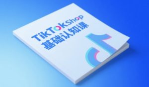 TikTok小店基础认知课，助力学员从 0 到 1 掌握 TikTok 电商运营全链路认知-一号资源库