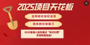 2025项目天花板普通人如何通过知识付费，实现财F自由【揭秘】-一号资源库