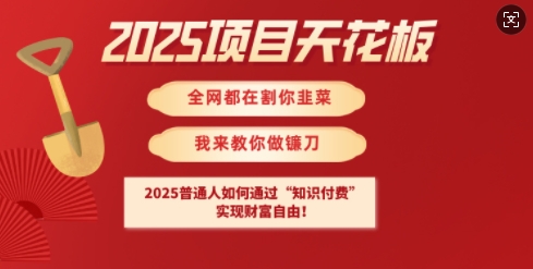 2025项目天花板普通人如何通过知识付费，实现财F自由【揭秘】-一号资源库