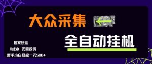 大众采集全自动玩法，新手小白轻松一天5张+，操作简单零成本【揭秘】-一号资源库