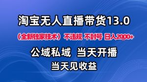 淘宝无人直播13.0，公域私域技术，不封号，不违规布局下半年旺季赛道，日入1K+（独家技术）【揭秘】-一号资源库