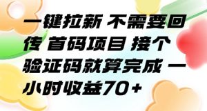 一键拉新 不需要回传 首码项目 接个验证码就算完成 一小时收益70+【揭秘】-一号资源库
