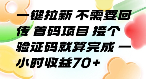 一键拉新 不需要回传 首码项目 接个验证码就算完成 一小时收益70+【揭秘】-一号资源库