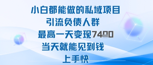 2025年小白都能做的私域项目引流负债人群最高一天变现1k+高变现难度低当天就能见到钱上手快-一号资源库