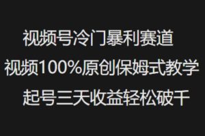 视频号冷门暴利赛道视频100%原创保姆式教学起号三天收益轻松破千-一号资源库