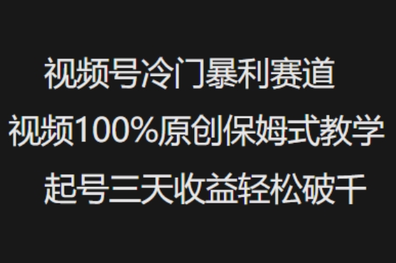 视频号冷门暴利赛道视频100%原创保姆式教学起号三天收益轻松破千-一号资源库