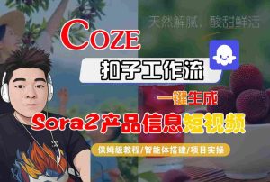 Coze扣子智能体工作流一键生成“SORA2产品信息“短视频,全流程保姆级教学-一号资源库