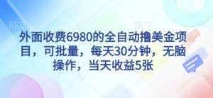 外面收费6980的全自动撸美刀项目，可批量，每天30分钟，无脑操作，当天收益5张【揭秘】-一号资源库