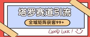 小红书某音塔罗赛道引流获客 自热矩阵日引200+【揭秘】-一号资源库