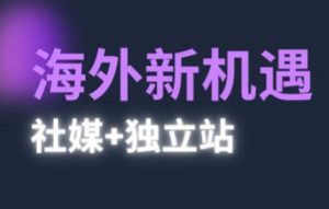 2025出海新机遇(社媒+独立站)，海外新机遇，实现独立站的高效运营与出海-一号资源库