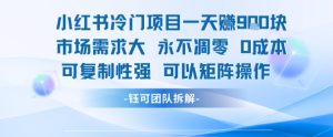 小红书冷门项目一天收益9张，市场需求大，0成本，可复制性强可以矩阵操作-一号资源库