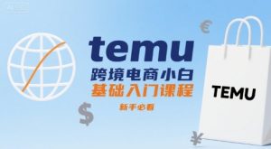 temu跨境电商小白基础入门课程，新手必看-一号资源库