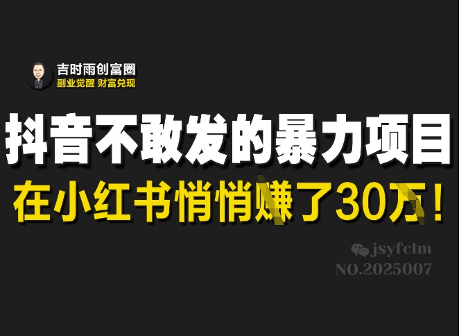抖音不敢发的暴利项目，在小红书悄悄挣了30W-一号资源库