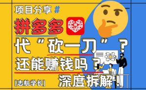 【2025最新】拼多多代坎助力项目深度拆解：还能挣钱吗?全流程玩法-一号资源库