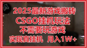 2025最新游戏搬砖，CSGO挂G，不需要玩游戏，实现真挂G，月入1W+【揭秘】-一号资源库