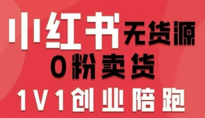 小红书无货源0粉电商课，开店准备、选品策略、笔记撰写、视频剪辑、数据分析、账号打造、资料文档-一号资源库