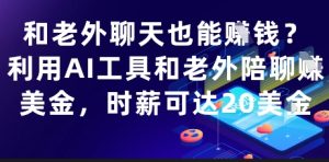 和老外聊天也能挣钱?利用AI工具和老外陪聊挣美金,时薪可达20刀-一号资源库